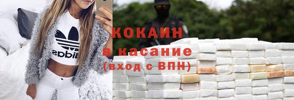амф Грязовец