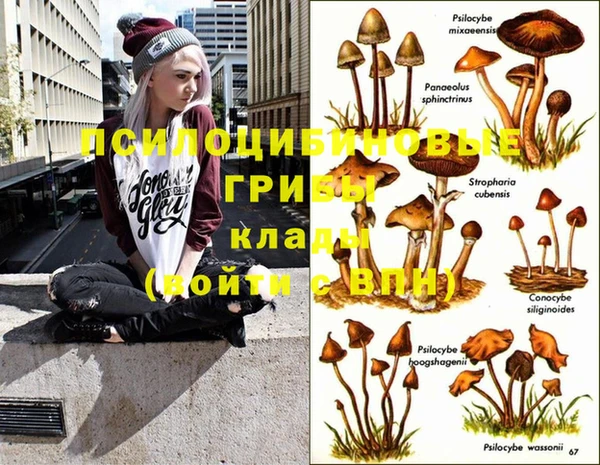 MESCALINE Грязи