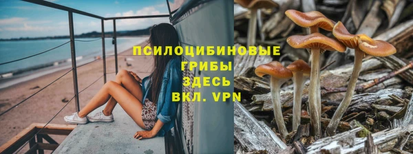 кокс Россошь